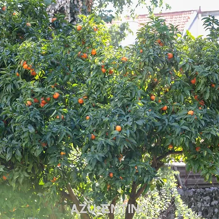 Azurenting - Bastide Solea - 1 - Terrasse