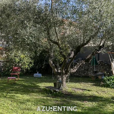 Azurenting - Bastide Solea - 1 - Terrasse Appartement Cannes