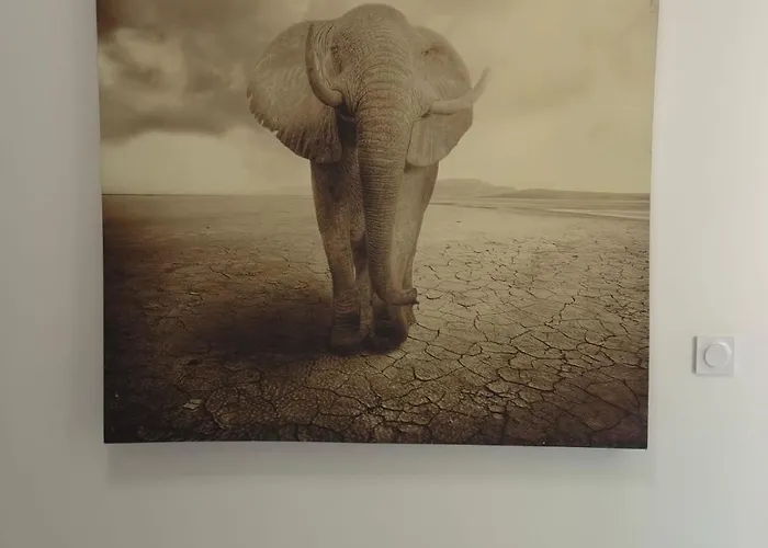 Azurenting - Bastide Solea - 1 Chambre - Terrasse