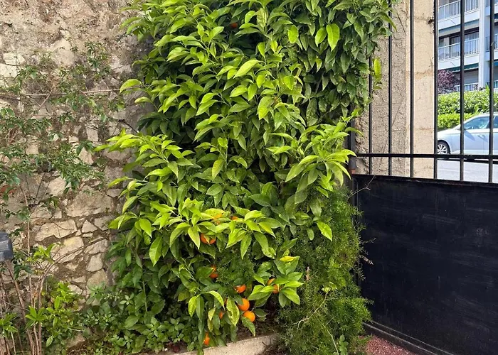 Azurenting - Bastide Solea - 1 Chambre - Terrasse * كان