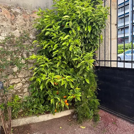 Solea - Bastide - Azurenting Cannes * Cannes