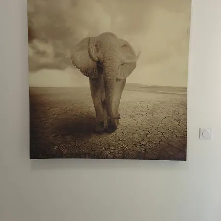 Solea - Bastide - Azurenting Cannes